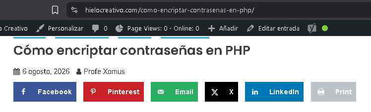 URL amigable en un sitio web - Hielo Creativo