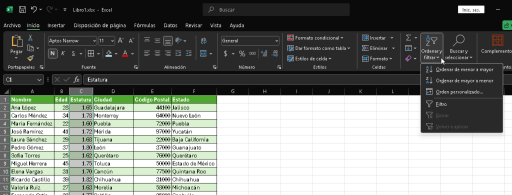 Ordenar y filtrar datos en Excel - Hielo Creativo