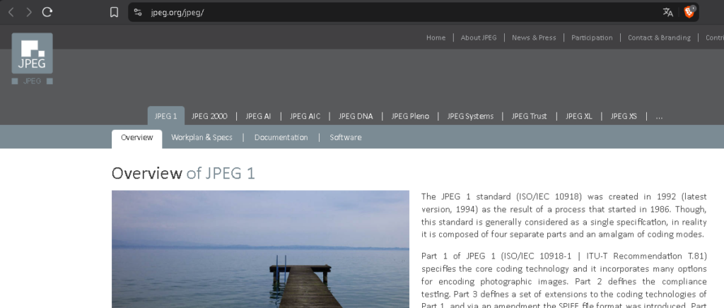 Página web del JPEG - Hielo Creativo